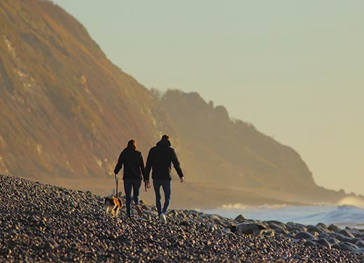 CoastClear launches to raise awareness of coastal erosion risks for homebuyers and owners